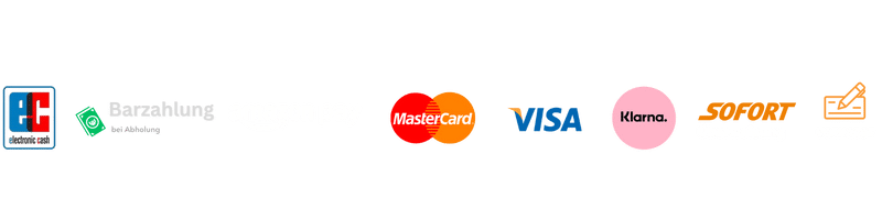 Maassbleche payment methods logo (800 × 200 px) V2